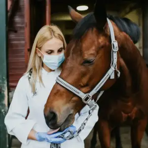 Medicina Veterinária em Juazeiro
